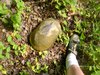 Dsc03028.jpg
03/03/2012 13:33:40
1.26 MB