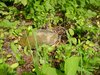 Dsc03029.jpg
03/03/2012 13:33:29
1.06 MB