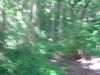 DSC01313.JPG
03/03/2012 13:04:58
562.3 KB