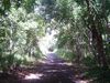 DSC01314.JPG
03/03/2012 13:04:54
597.55 KB