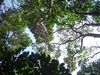 DSC01354.JPG
03/03/2012 13:03:57
585.89 KB