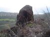 DSC01414.JPG
03/03/2012 13:06:11
586.39 KB