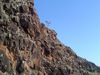 DSC01428.JPG
03/03/2012 13:05:40
574.37 KB