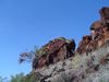 DSC01443.JPG
03/03/2012 13:10:19
604.77 KB