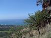 DSC01444.JPG
03/03/2012 13:10:19
603.3 KB