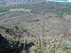 DSC01458.JPG
03/03/2012 13:09:58
589.46 KB
