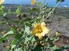 DSC01526.JPG
03/03/2012 13:15:13
597.2 KB