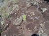 DSC01532.JPG
03/03/2012 13:15:02
598.42 KB
