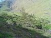 DSC01596.JPG
03/03/2012 13:12:24
597.13 KB