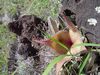 DSC01625.JPG
03/03/2012 13:10:48
599.88 KB