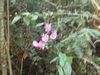 DSC01649.JPG
03/03/2012 13:15:51
582.47 KB