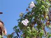 DSC01650.JPG
03/03/2012 13:15:51
543.73 KB