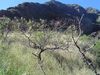 DSC01659.JPG
03/03/2012 13:15:37
605.49 KB