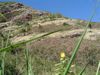 DSC01663.JPG
03/03/2012 13:15:31
585.35 KB