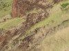 DSC01959.JPG
03/03/2012 13:17:42
315.46 KB