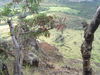 DSC01968.JPG
03/03/2012 13:17:39
318.83 KB