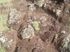 DSC01974.JPG
03/03/2012 13:17:36
316.91 KB