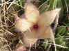 DSC01977.JPG
03/03/2012 13:17:34
324.78 KB