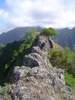 DSC02053_r.JPG
03/03/2012 13:16:48
207.53 KB