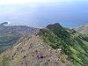 DSC02066.JPG
03/03/2012 13:16:43
325.35 KB