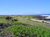 DSC02129.JPG
03/03/2012 13:18:29
314.15 KB