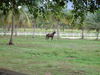 DSC02180.JPG
03/03/2012 13:18:03
324.67 KB