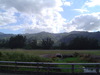 DSC02188.JPG
03/03/2012 13:18:02
316.56 KB