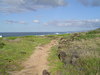 DSC02206.JPG
03/03/2012 13:17:54
326.88 KB
