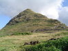 DSC02207.JPG
03/03/2012 13:17:53
321.28 KB