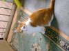 DSC00109.JPG
03/03/2012 13:19:09
574.62 KB