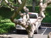 DSC02210.JPG
03/03/2012 13:19:02
319.39 KB