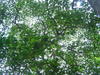 DSC02098.JPG
03/03/2012 13:19:33
316.9 KB