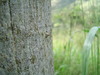DSC02101.JPG
03/03/2012 13:19:31
314.69 KB