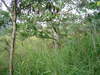 DSC02103.JPG
03/03/2012 13:19:24
318.56 KB