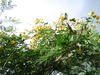 DSC02106.JPG
03/03/2012 13:19:24
319.41 KB