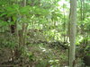 DSC02118.JPG
03/03/2012 13:19:16
319.93 KB