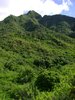 Dsc00170.jpg
03/03/2012 13:21:56
1.58 MB