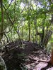 Dsc00215.jpg
03/03/2012 13:21:43
1.81 MB
