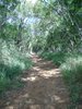 WaianaeKai012_r.jpg
03/03/2012 13:22:44
2.05 MB